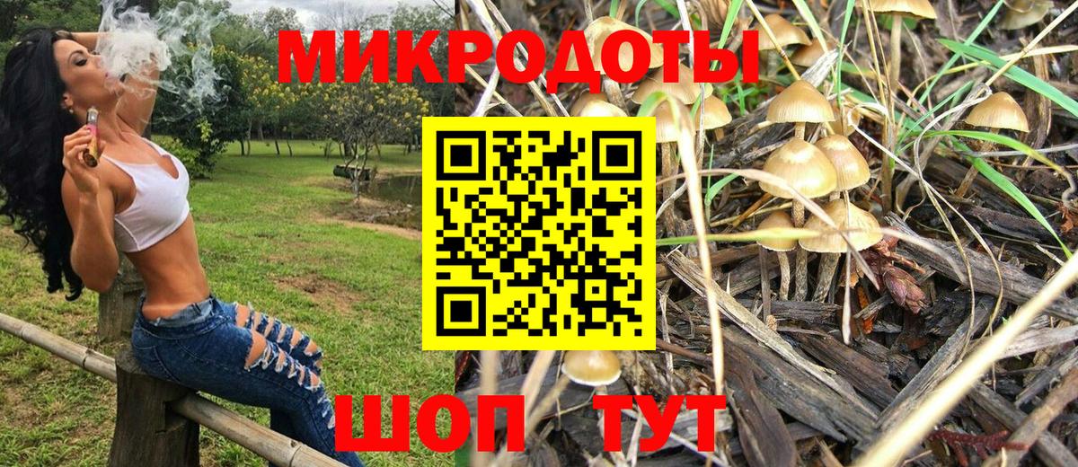 Луга  Псилоцибиновые грибы ЛСД  Вход с VPN 